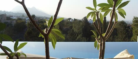 view of infinity pool