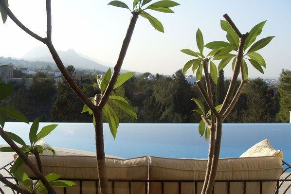 view of infinity pool