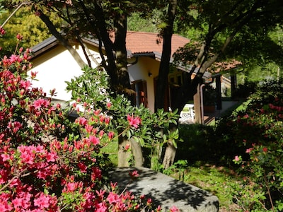 Casa Luciana, See von Mergozzo
