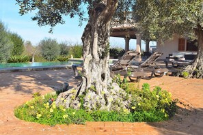 Photo de la piscine et de la villa