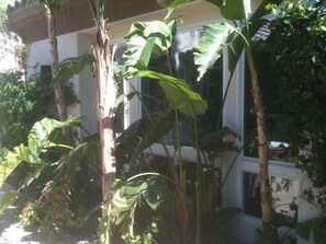The large windows of the detached Casita offer a view of the front courtyard.
