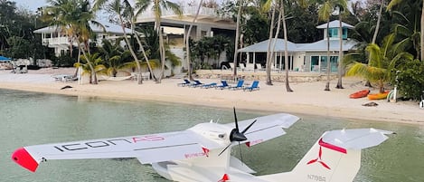 Come by 🚗 🚤 or ✈️