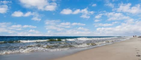 Orange Beach in front of Seascape Condos