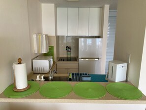 Fully equipped kitchenette