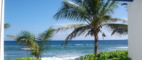 View from patio with waters edge just 25 feet away!