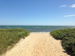 CLEAN SANDY SAND! SHELL COLLECTING MECCA.