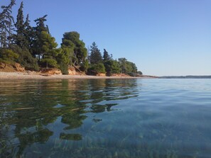 The "Kyparissia" beach only a short walk from the House