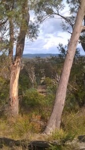 Comfortable barn with views, walks, bush and wildlife.