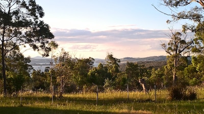 Comfortable barn with views, walks, bush and wildlife.