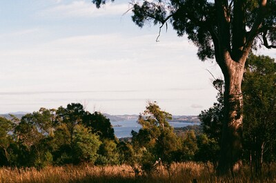 Comfortable barn with views, walks, bush and wildlife.