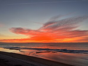 Morning step onto the deck; smell the ocean, listen to the waves and see this.