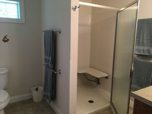 Handicap shower and toilet in Master Bath