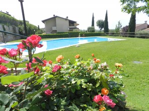 Garden with swimming pool