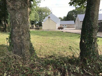 Nancy’s Farmhouse beside the Greenway