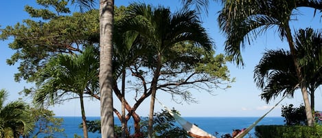 Best hammock view from the top of our 5 acre knoll.