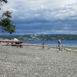 More of the beach.