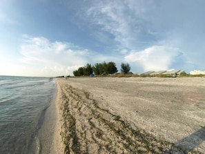 The beach
