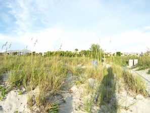 from the beach you can see the Beach villas  This unit is ON the beach 