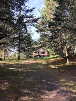 A view of the cabin looking up from the lake