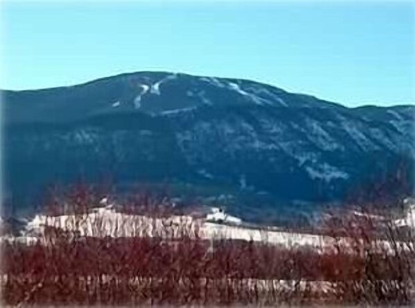 View of Red Lodge Mountain Ski Area from the private deck