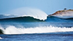 Avellanas Beach offers surfing for everyone