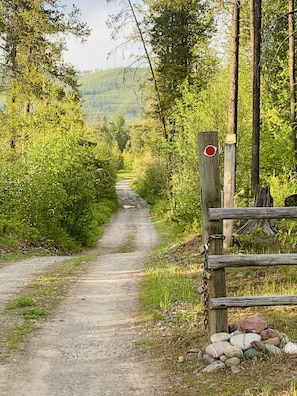 Country road access to cabin and river.