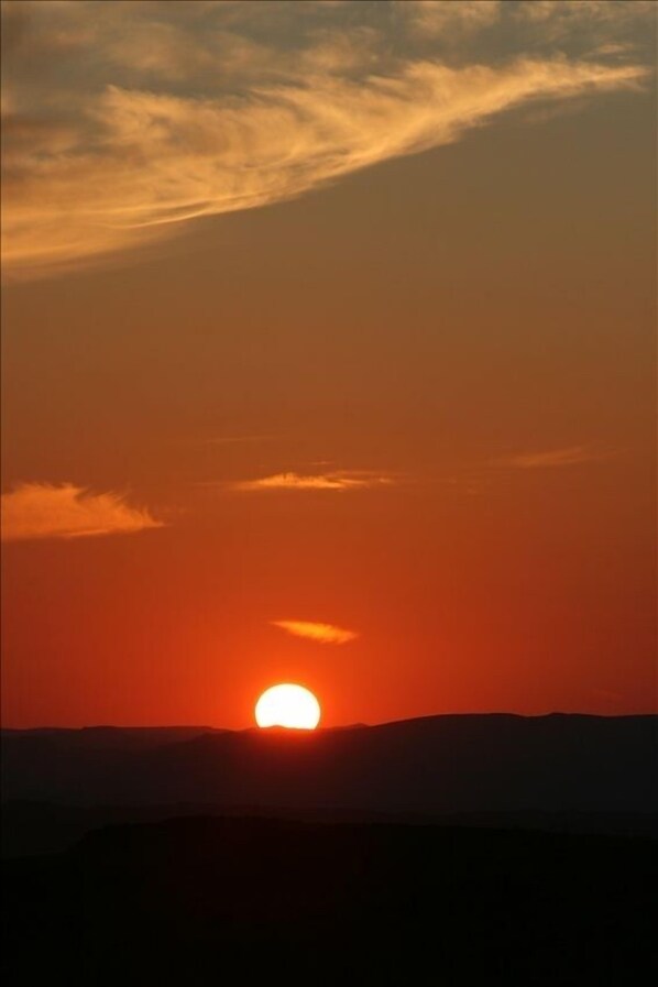 sunrise at tarantula ranch