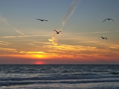 Paradise Awaits! Directly on the beautiful white sands of the #3 beach in USA!