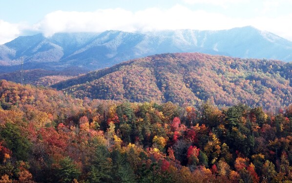 View of Mt. Leconte from our Deck!