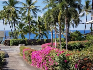 HAPPY PLACE,  HISTORIC RESIDENCE OF HAWAIIAN CHIEFS. CANOE LANDING, SURF.