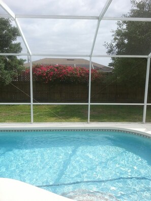Newly added fence for great privacy....