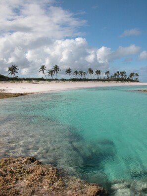 Coral swimming pool directly in front of the house