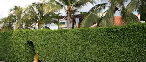 The Palm Beach Fortress, surrounded by 12ft high natural foliage 