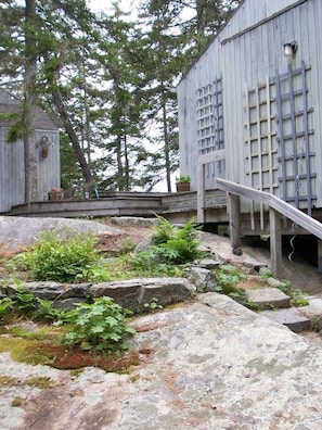 Entrance to Tree House