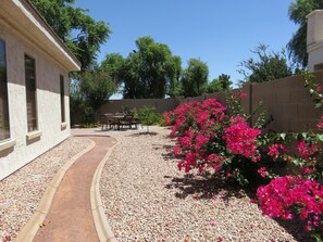 Walkway to backyard