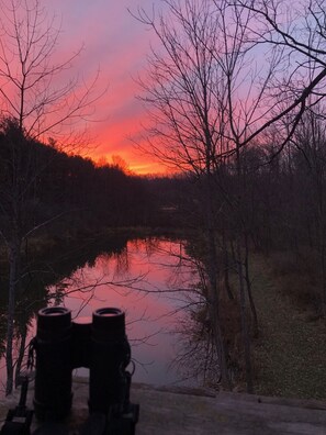 view of the pond in the evening; from the  "pond stand"