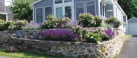 Exterior view of cottage front from road.