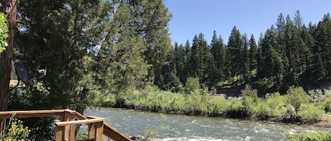 Blackfoot River view from back porch! 