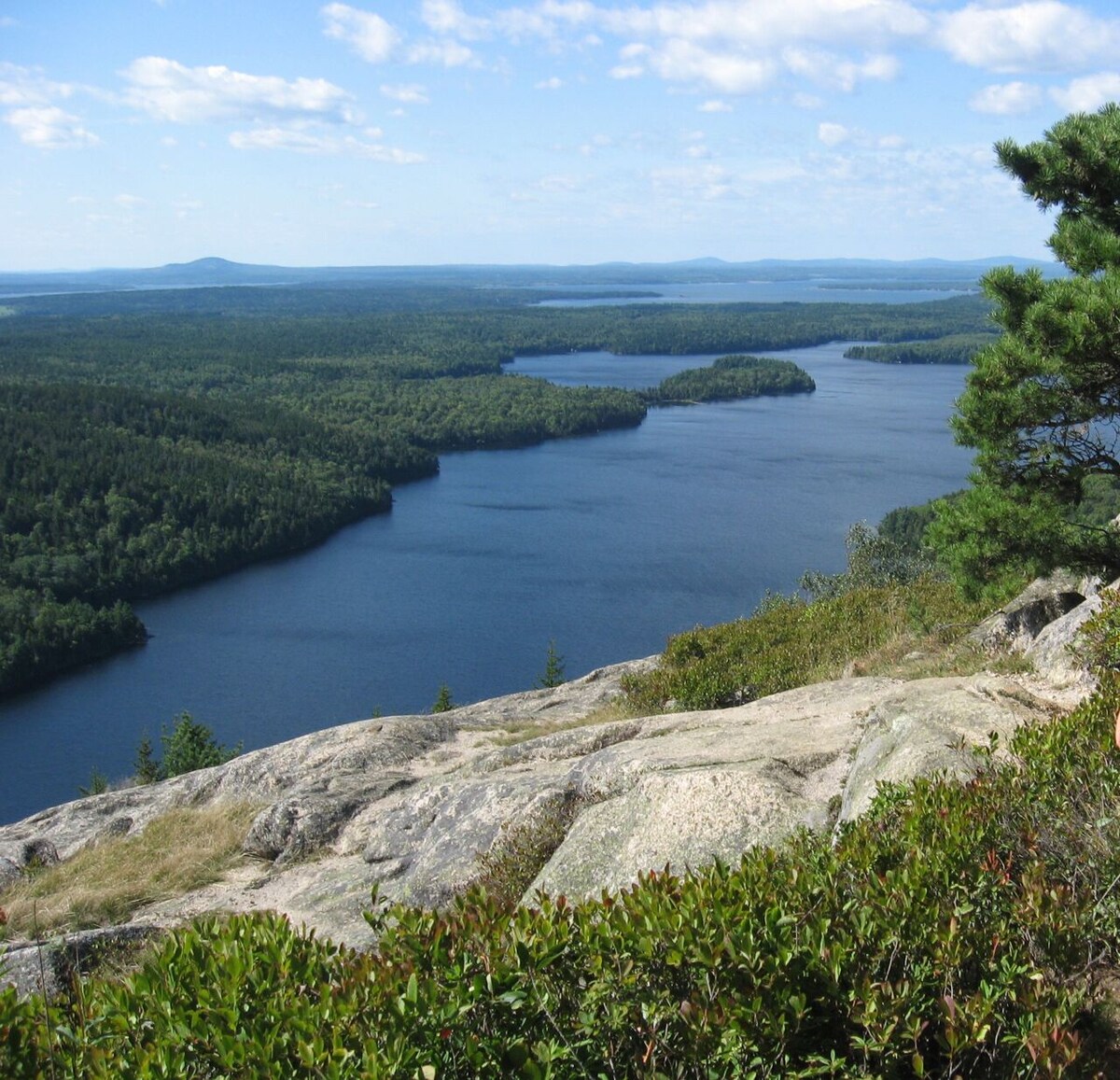 Main Image