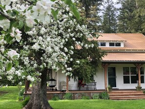 Cottage in Spring bloom
