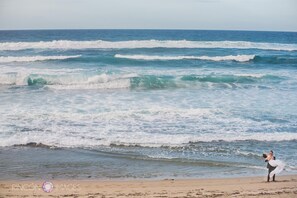 amazing! shot taken from top of our dune, courtesy Rincon Images.