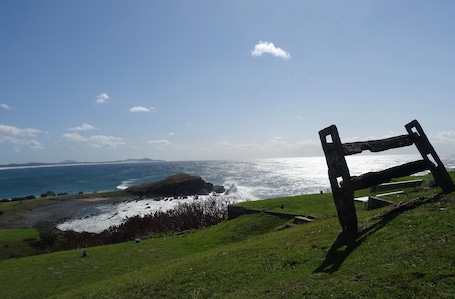 Delightful Crescent Head!