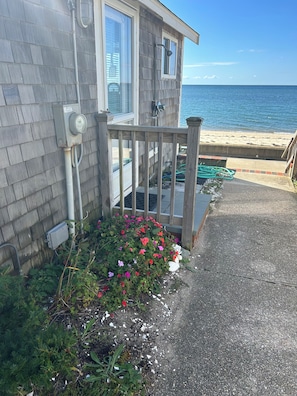 Front entrance in summer