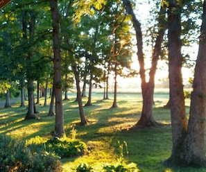 Jardines del alojamiento