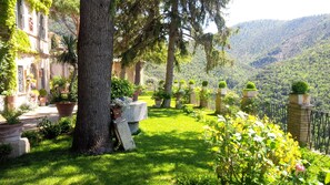 The Garden