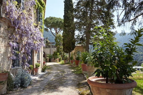 Jardines del alojamiento