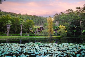 Jardines del alojamiento