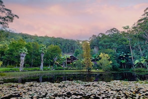 Jardines del alojamiento