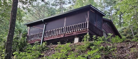 Cabin from Below