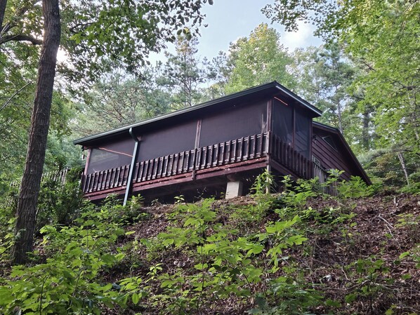 Cabin from Below